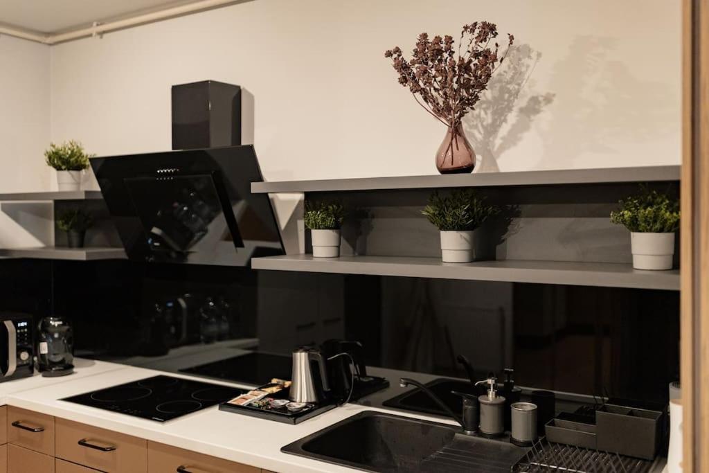 Nest Inn Magic Apartment Клуж-Напока Екстериор снимка